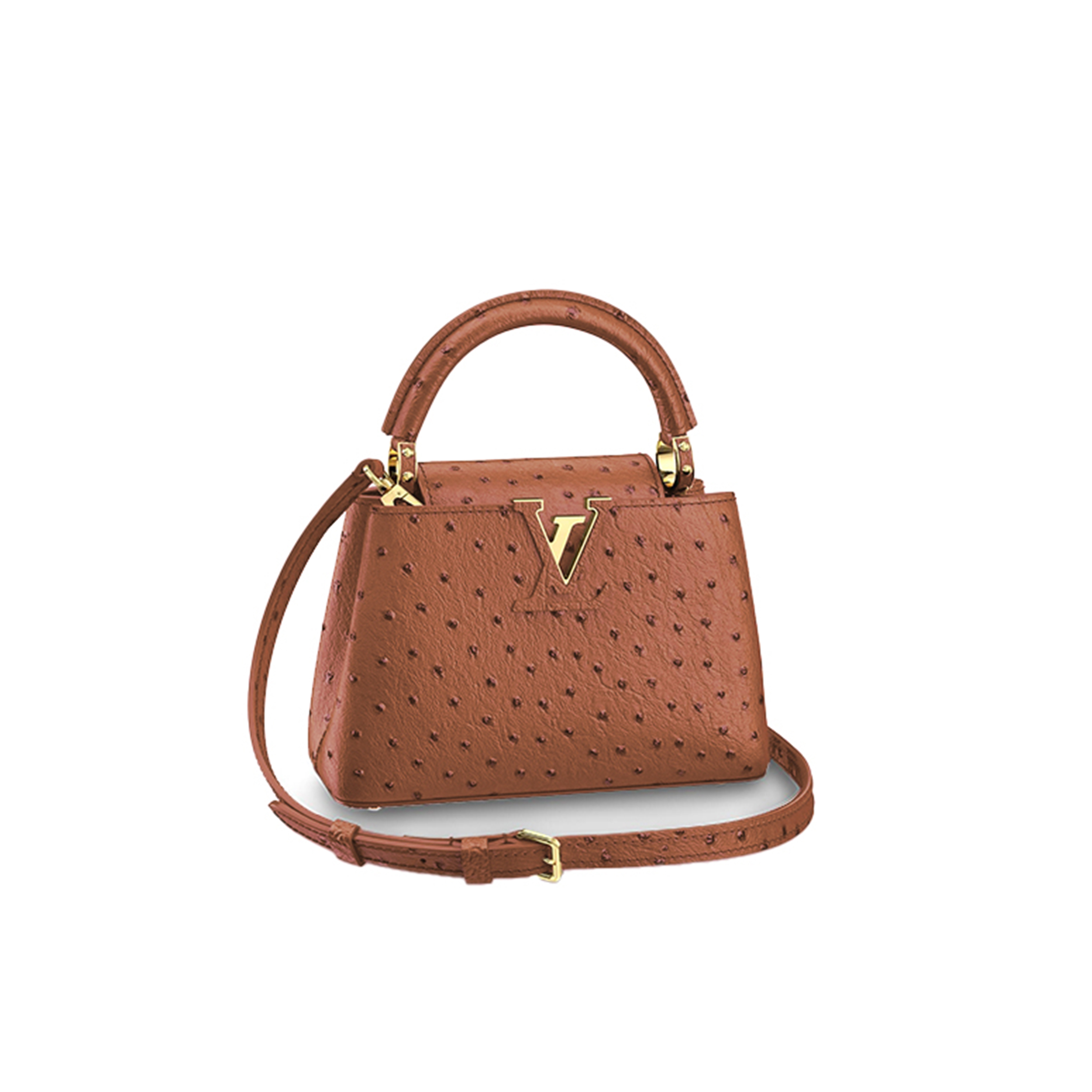 LOUIS VUITTON CAPUCINES MINI M95509 (21*14*8cm) 
